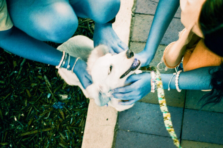 Puppy love, Shot on Nikon N65 with Lomochrome Turquoise Film