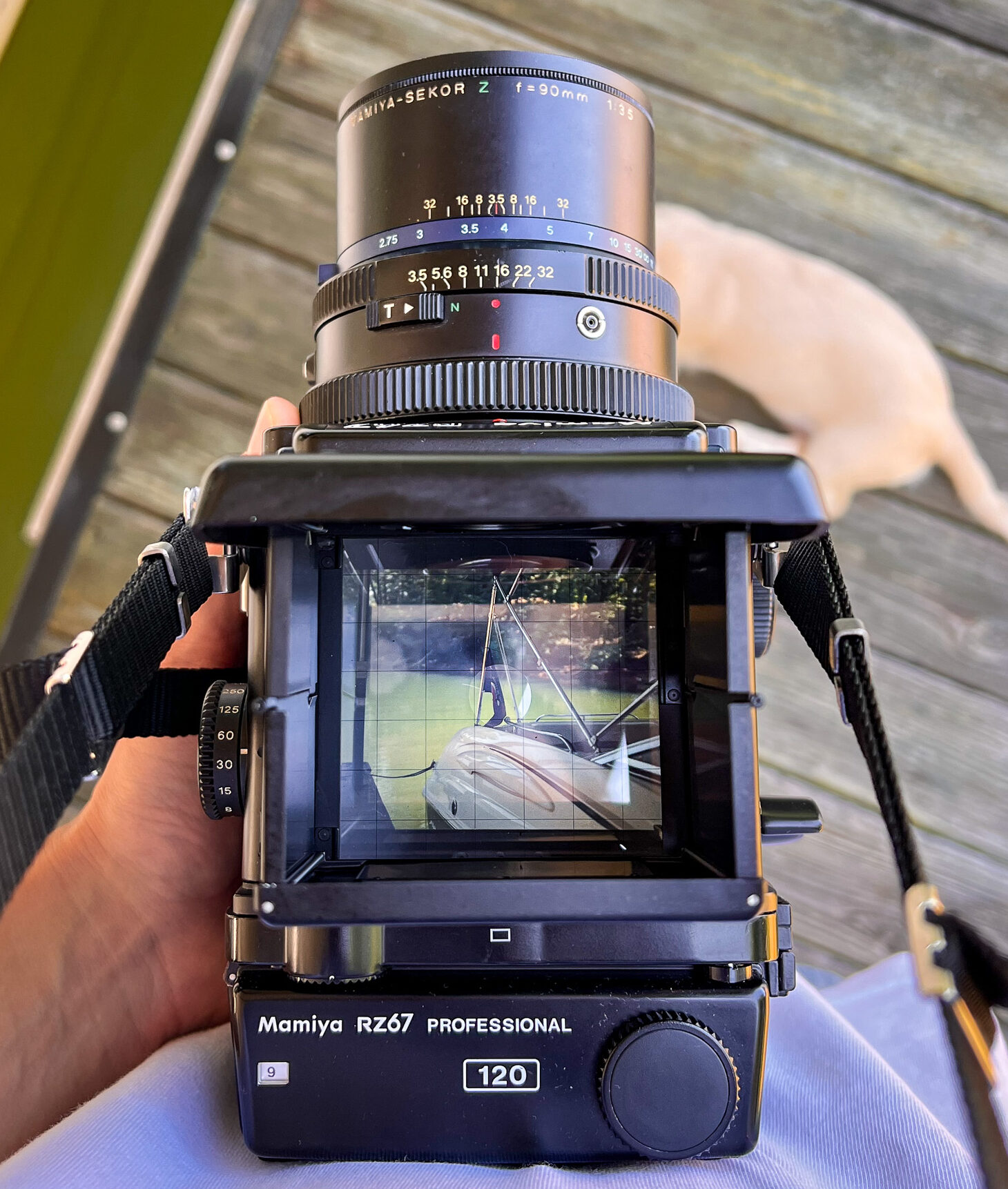 Tips & Tricks for Mamiya RZ67 Camera Beginners (With Sample Photos