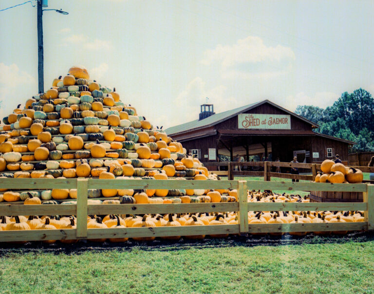 Jaemor Farms during Autumn, Shot with Mamiya RZ67